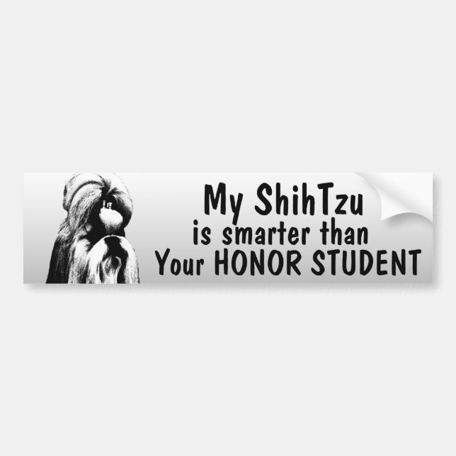 Shih Tzu is smarter than honour student - funny Bumper Sticker (Front)