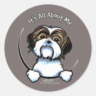 Shih Tzu Its All About Me Classic Round Sticker