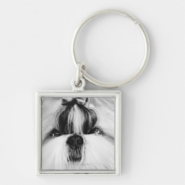 Shih Tzu Key Ring (Front)