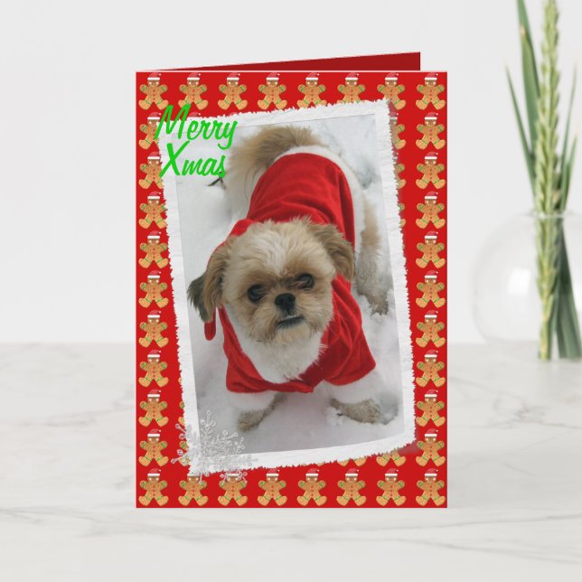 shih tzu lhasa tzu cute santa dog Christmas card (Front)