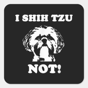 Shih Tzu Lover   I Shih Tzu Not Funny Dog Square Sticker