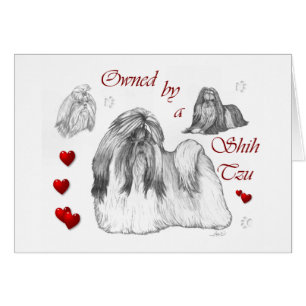 Shih Tzu Lovers Gifts