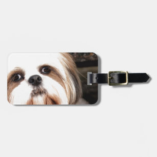 Shih Tzu Luggage Tag