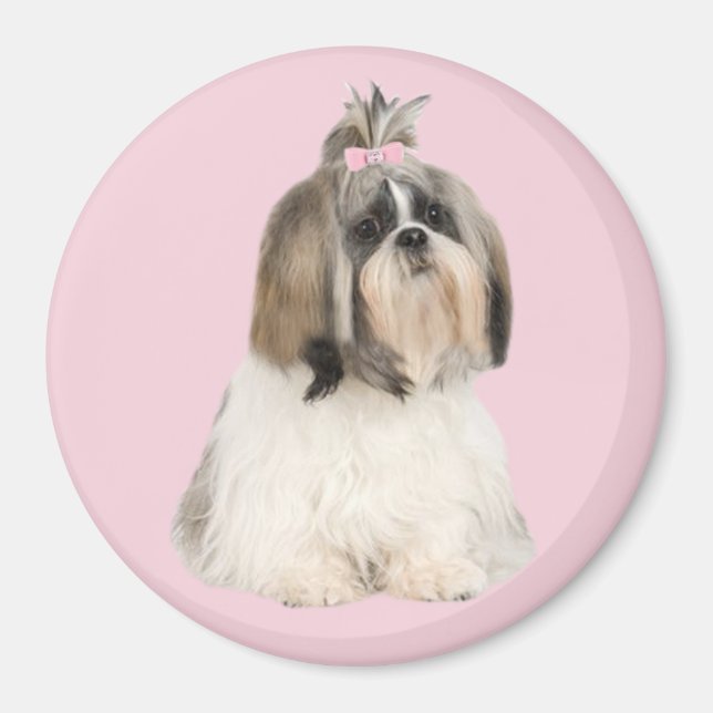 Shih Tzu Magnet (Front)