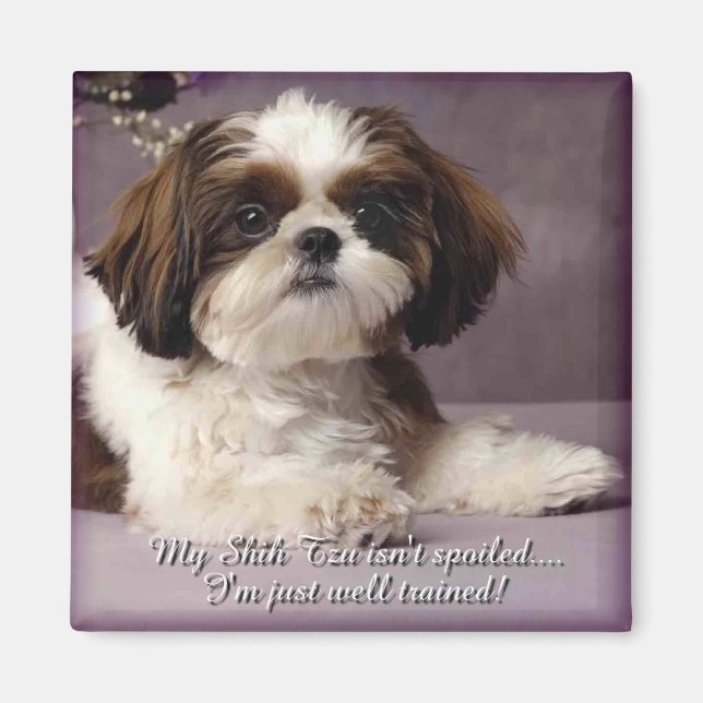 Shih-Tzu Magnet 2 (Front)