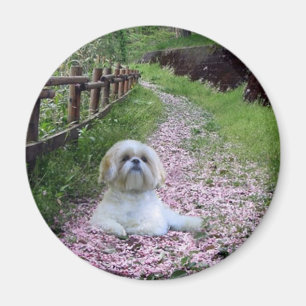 Shih Tzu Magnet Purple Flowers
