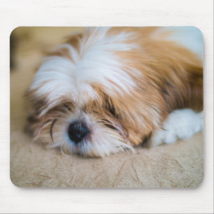 Shih Tzu Mouse Pad
