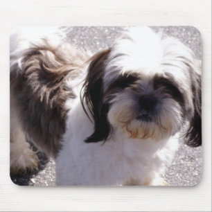 Shih-Tzu Mouse Pad