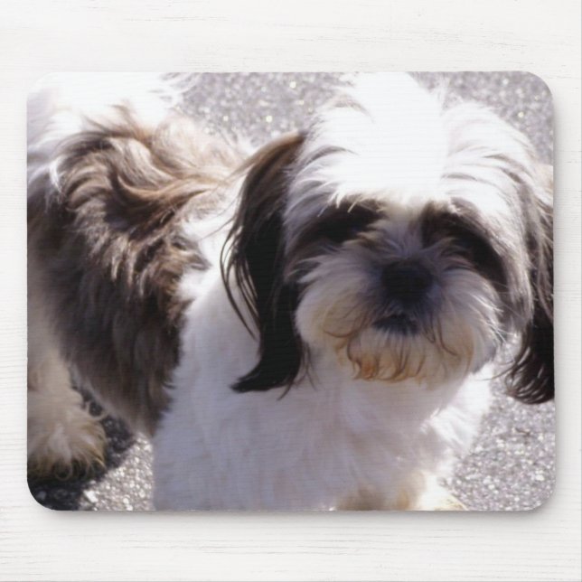 Shih-Tzu Mouse Pad (Front)