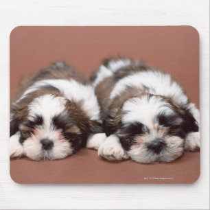 Shih Tzu Mouse Pad