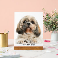 Shih Tzu Mum Personalised Pet Dog Photo