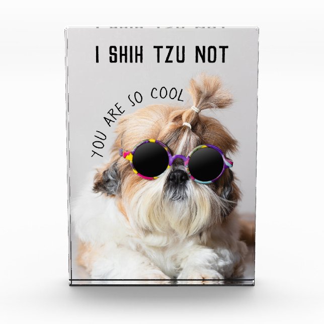 Shih Tzu Not fun cute dog lovers Custom Photo text (Front)