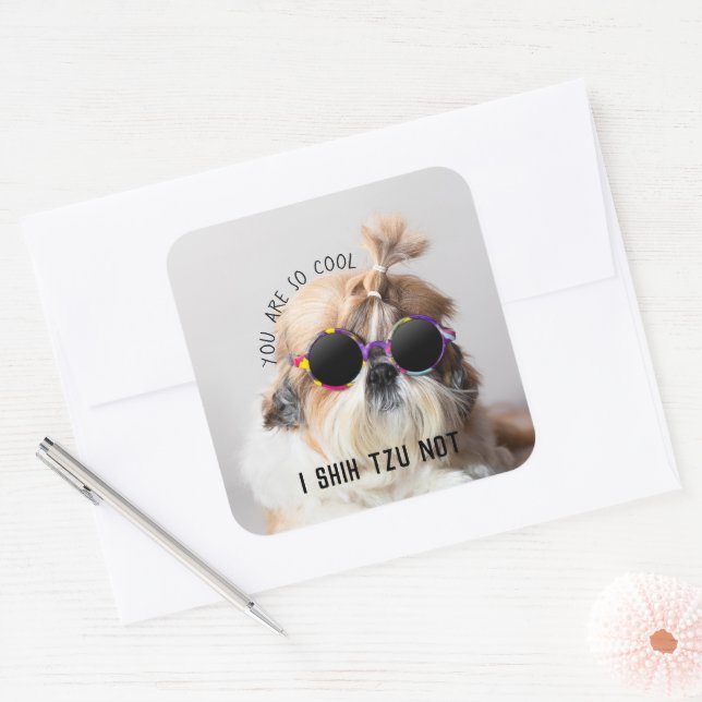 Shih Tzu Not fun cute dog lovers Custom Photo text Square Sticker (Envelope)