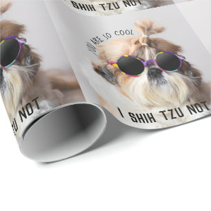Shih Tzu Not fun cute dog lovers Custom Photo text Wrapping Paper
