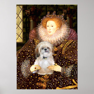 Shih Tzu (P) - Queen Poster