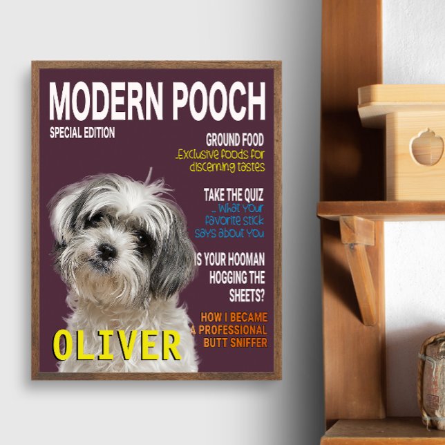 Shih Tzu Parody Magazine Cover  Photo Print (Creator Uploaded)