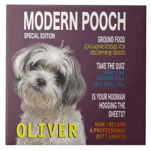 Shih Tzu Parody Magazine Cover  Tile