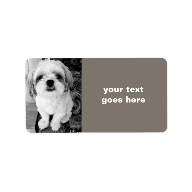 Shih Tzu Personalised Address Labels (Front)
