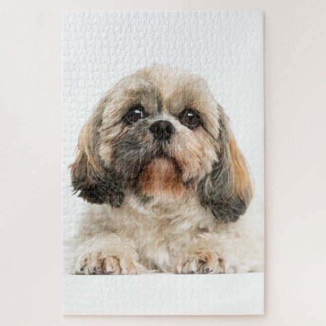 Shih Tzu Pet Dog Photo Jigsaw Puzzle (Vertical)