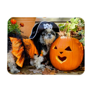 Shih Tzu Pirate Girl Flexible Photo Magnet
