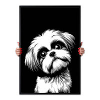Shih Tzu Pop Art White & Black Chic Aesthetic