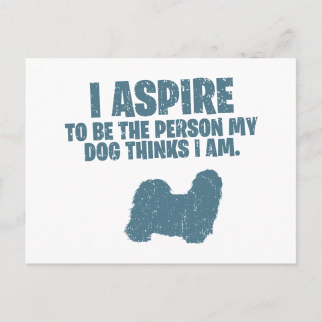 Shih Tzu Postcard (Front)