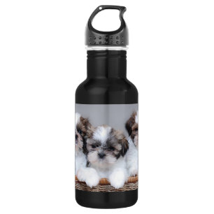 Shih Tzu puppies 532 Ml Water Bottle