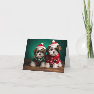 Shih Tzu Puppies Christmas Card