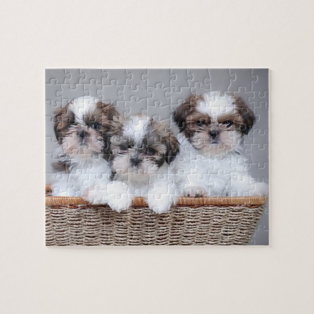 Shih Tzu puppies Jigsaw Puzzle (Horizontal)