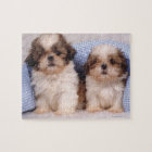 Shih Tzu puppies under a checked blanket