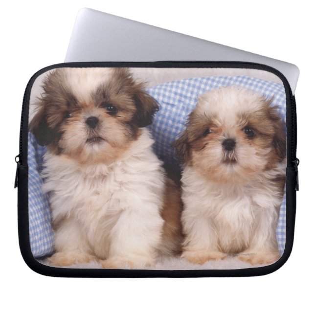 Shih Tzu puppies under a checked blanket Laptop Sleeve (Front)