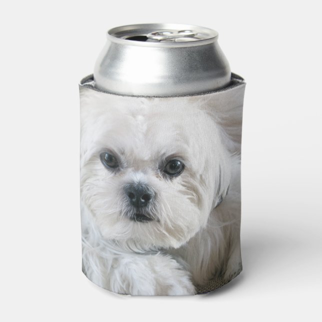 Shih Tzu Puppy Can Cooler (Can Front)