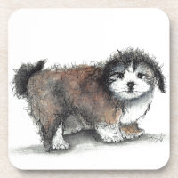 Shih tzu Puppy Dog, Pet