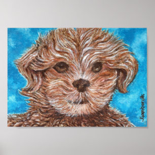 Shih Tzu Puppy Dog Print