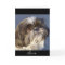 Shih Tzu Puppy Greeting Card - Verse Inside