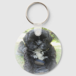 Shih Tzu Puppy Key Chain