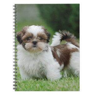 Shih tzu puppy notebook
