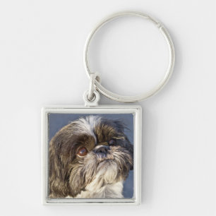 Shih Tzu Puppy Premium Keychain