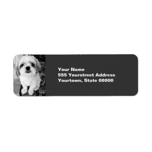 Shih Tzu Return Address Labels
