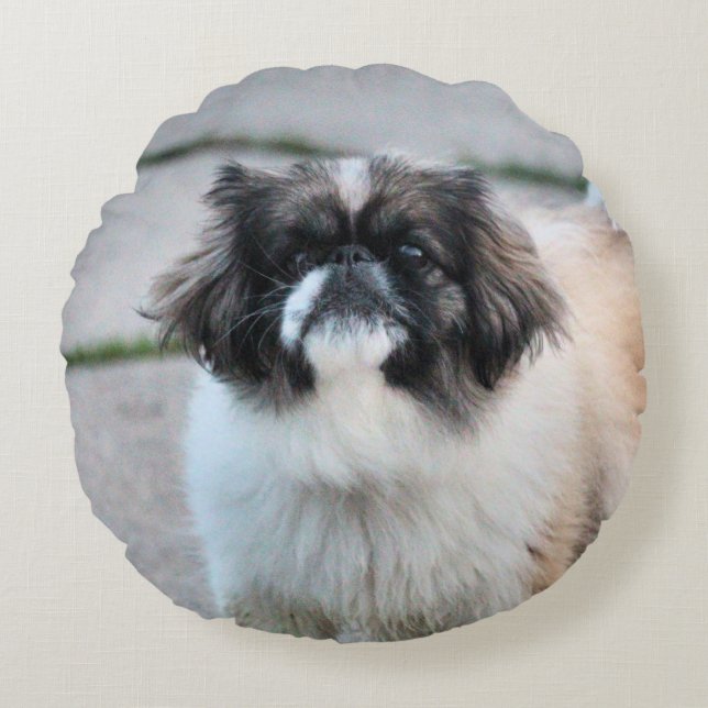 Shih Tzu Round Cushion (Front)