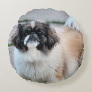 Shih tzu round cushion