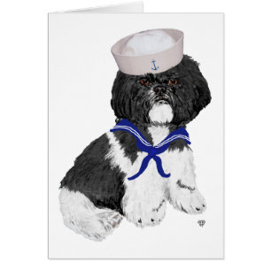 Shih Tzu Sailor