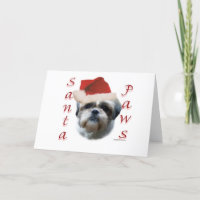 Shih Tzu Santa Paws