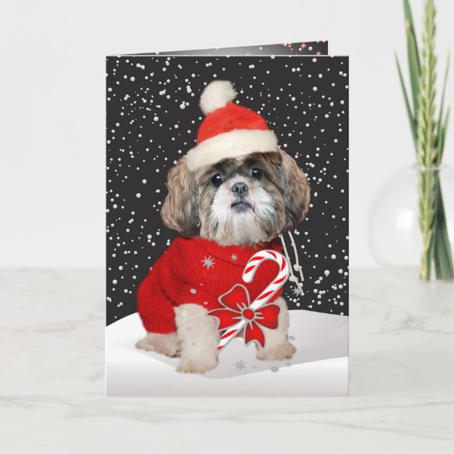 Shih Tzu Santa Season Greetings Cards (Front)