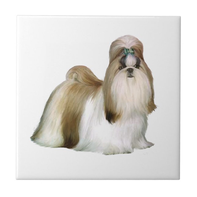 Shih Tzu (Show stand) Tile (Front)