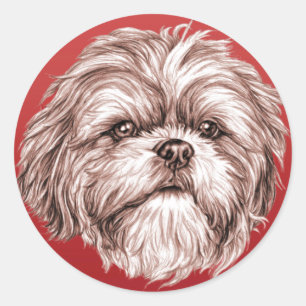 Shih Tzu Sketch Classic Round Sticker