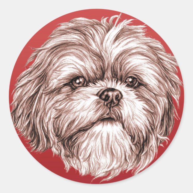 Shih Tzu Sketch Classic Round Sticker (Front)