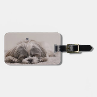 Shih tzu Sleeping Luggage Tag , Sleeping Dog