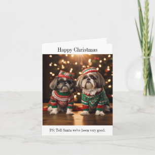 Shih Tzu Small Christmas Card