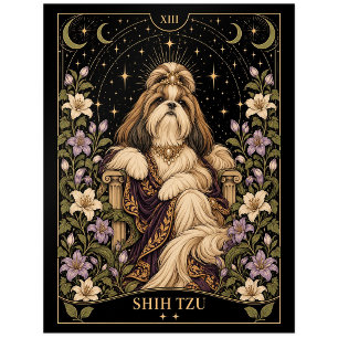 Shih Tzu, Starlit Tarot Art Postcard